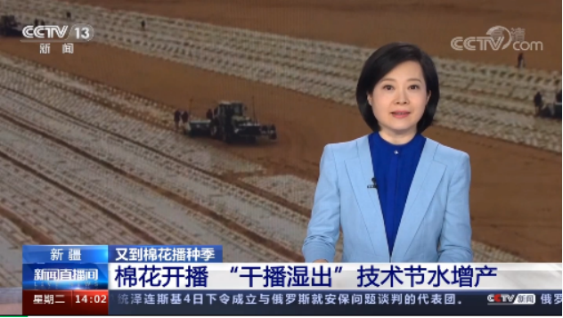 中國電信新疆公司助力兵團(tuán)農(nóng)三師“干播濕出”棉花種植技術(shù)霸屏央視80分鐘
