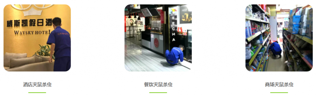 廣州除四害,廣州消殺公司,殺蟲滅鼠滅蟑螂白蟻防治公司