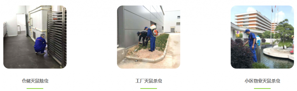 廣州除四害,廣州消殺公司,殺蟲滅鼠滅蟑螂白蟻防治公司