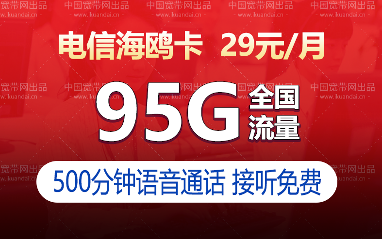 電信海鷗卡套餐（29元月租包95G流量+500分鐘通話）