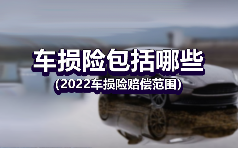 車損險(xiǎn)包括哪些（2022車損險(xiǎn)賠償范圍）