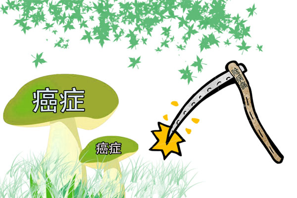 喝茶水對身體有什么好處和壞處？為啥有人說喝茶不養(yǎng)生，還可能致癌？-第4張圖片-蝶芒網(wǎng)