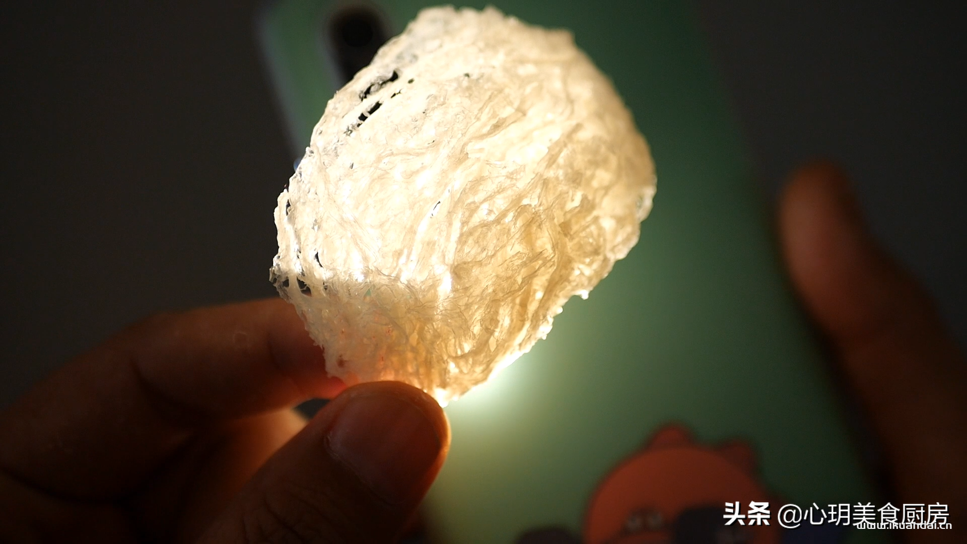 純天然正宗燕窩一斤多少錢（鑒別真假燕窩的方法）