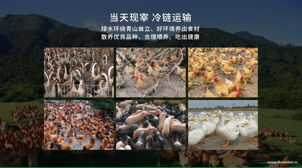 廣州農(nóng)夫山雞農(nóng)產(chǎn)品有限公司簡(jiǎn)介